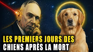 Edgar Cayce : Ce qui arrive à l’âme des chiens juste après la mort
