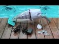 Balai aspirateur piscine sur batterie vektro de kokido  piscine clic