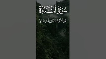 القارئ: سعد الغامدي   أرح سمعك #المصحف #quran #اكسبلور #الرحمن