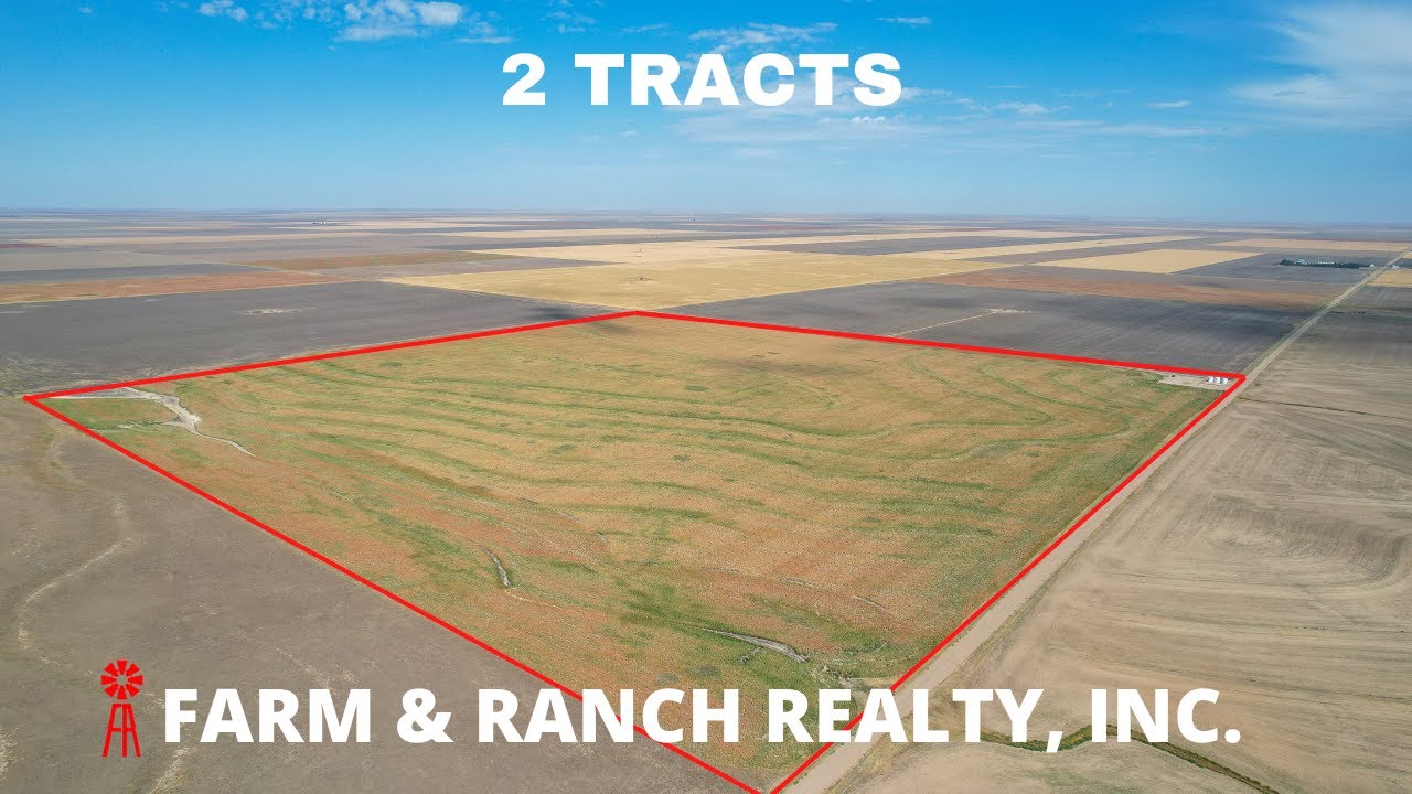 Hamilton County, Kansas LAND AUCTION 240+/ Acres Cropland YouTube