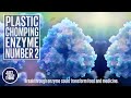 Plastic eating enzymes just got even better! New breakthrough.