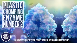 Plastic eating enzymes just got even better! New breakthrough.