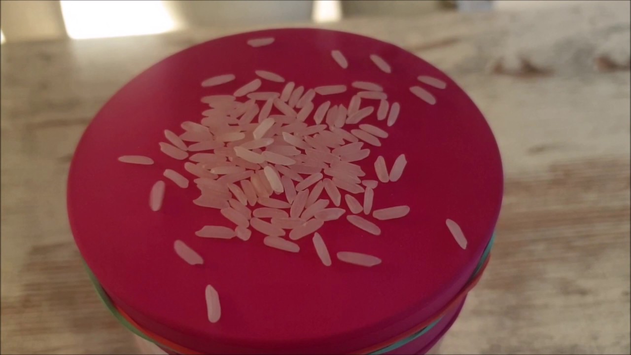 Experiment 13 - Die tanzenden Reiskörner - YouTube