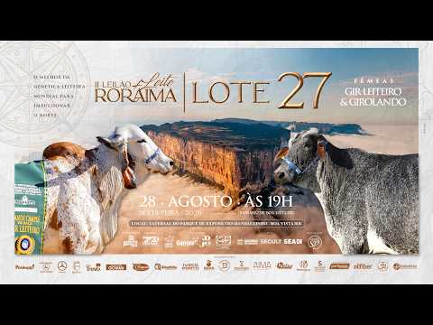 LOTE 27 JCVL 5492