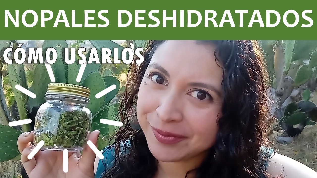 Cómo usar los NOPALES DESHIDRATADOS: rehidratar y cocinar fácilmente