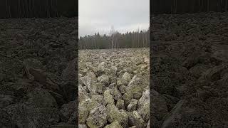 #таганай#каменная река