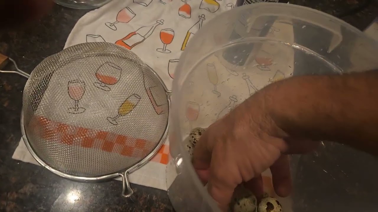 Pickled Quail Eggs part 1 Peeling eggs