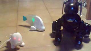 Fiola, I-Dog And I-Fish With Sean Pauls Music