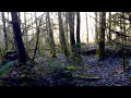 Awesome Bigfoot Sounds Caught On Video with Barb & Gabby