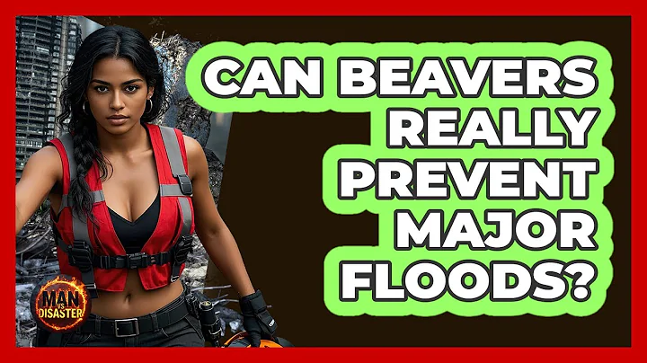 Can Beavers Really Prevent Major Floods? - Man vs. Disaster
