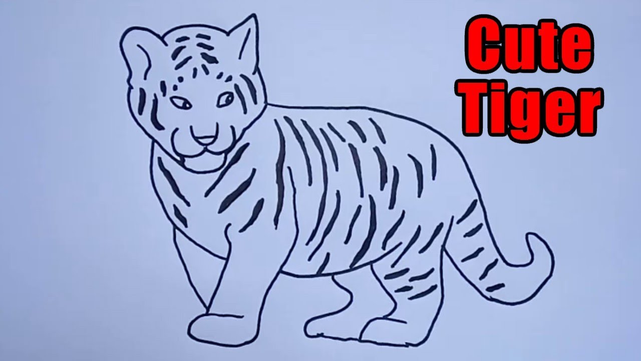 How to Draw a Tiger  A Fun Full Body Tiger Drawing