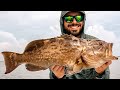 Catching BIG Grouper on a NEW Tampa Bay Rockpile