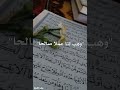 تيك توك حالات واتس اكسبلور ستوري دينية قرآن الكريم ادعية اللهم احسن وقوفنا بين يديك 