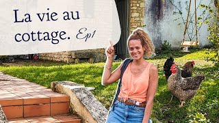 La vie au Cottage : flambée, fermentation, poulailler et mur de cadres