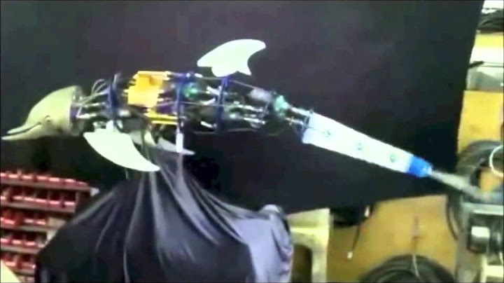 Roboter Delfin- so etwas gab es noch nie!!