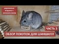 Обзор покупок для шиншиллы ч.3 (деревянная игрушка с колокольчиком) - что за зверь такой - шиншилла?