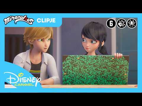 Miraculous | Schilderij Geheimen | Disney Channel België-Nederland