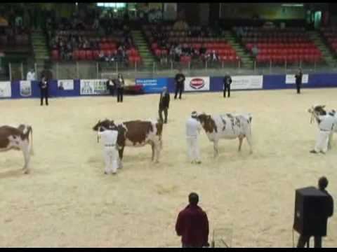 Expo-Printemps Holstein Qubec 2009 : Championnat s...