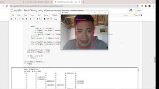 Pre-thesis_Face verification using Siamese network and Face-mask recognition