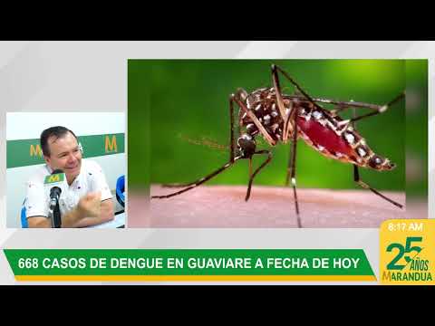 Dengue en Guaviare: autoridades reportan 668 casos en lo corrido de 2023