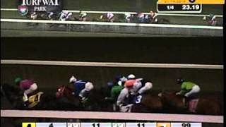 Turfway Park 01142016 Race 6
