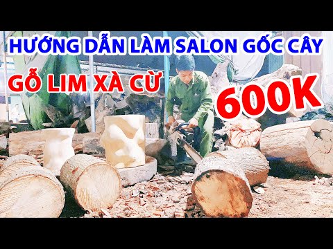 giá cây nội thất