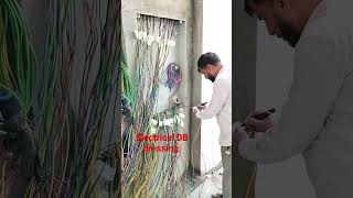 DB dressing #electrician #shortvideo
