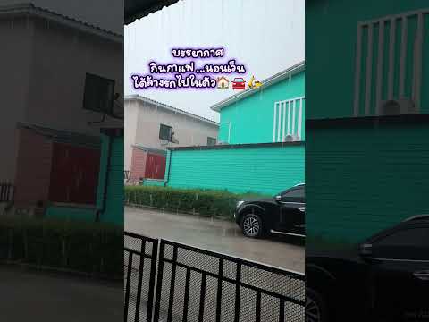 ฝนมาแล้ว #ความสุข #พลังบวก