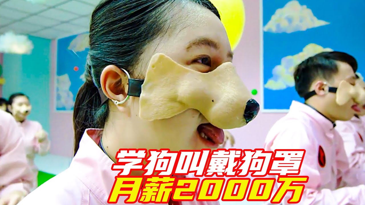 學狗叫戴狗罩就能月入2000萬，但不準說人話，這公司太奇葩了；奇幻，獵奇，狗罩，解說