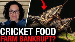 Liberals claim no records exist for $9M given to collapsed cricket farm