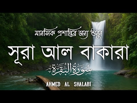 ঘরে শান্তি ও নিরাপত্তা আনতে সূরা বাকারা প্রতিদিন শুনুন | Powerful Surah Baqarah | Ahmed Al Shalabi