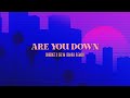 Dubdogz X Selva Are You Down Suark Remix Official Audio mp3