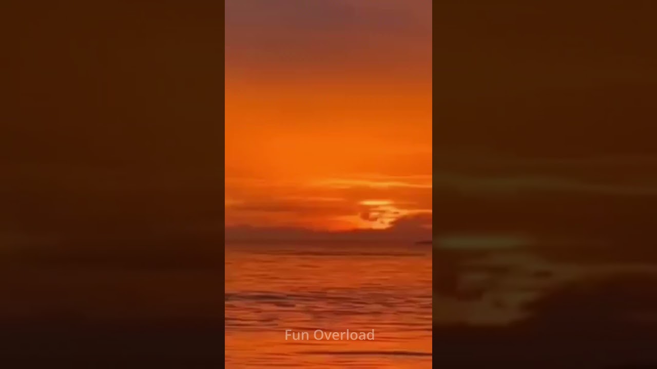 Best Funny Video #2 ||  