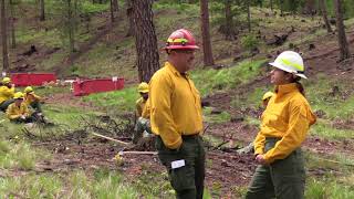 Restoring our Forests to Health, the Paradise, CA wildfire