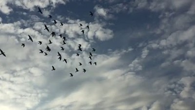 Ishq wala love|status song|cloudy sky