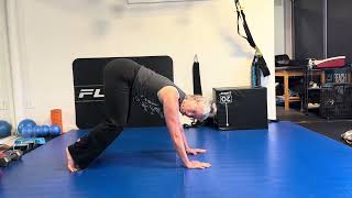 Full Body Mobility Flow: Quadruped to Big Bear Transition