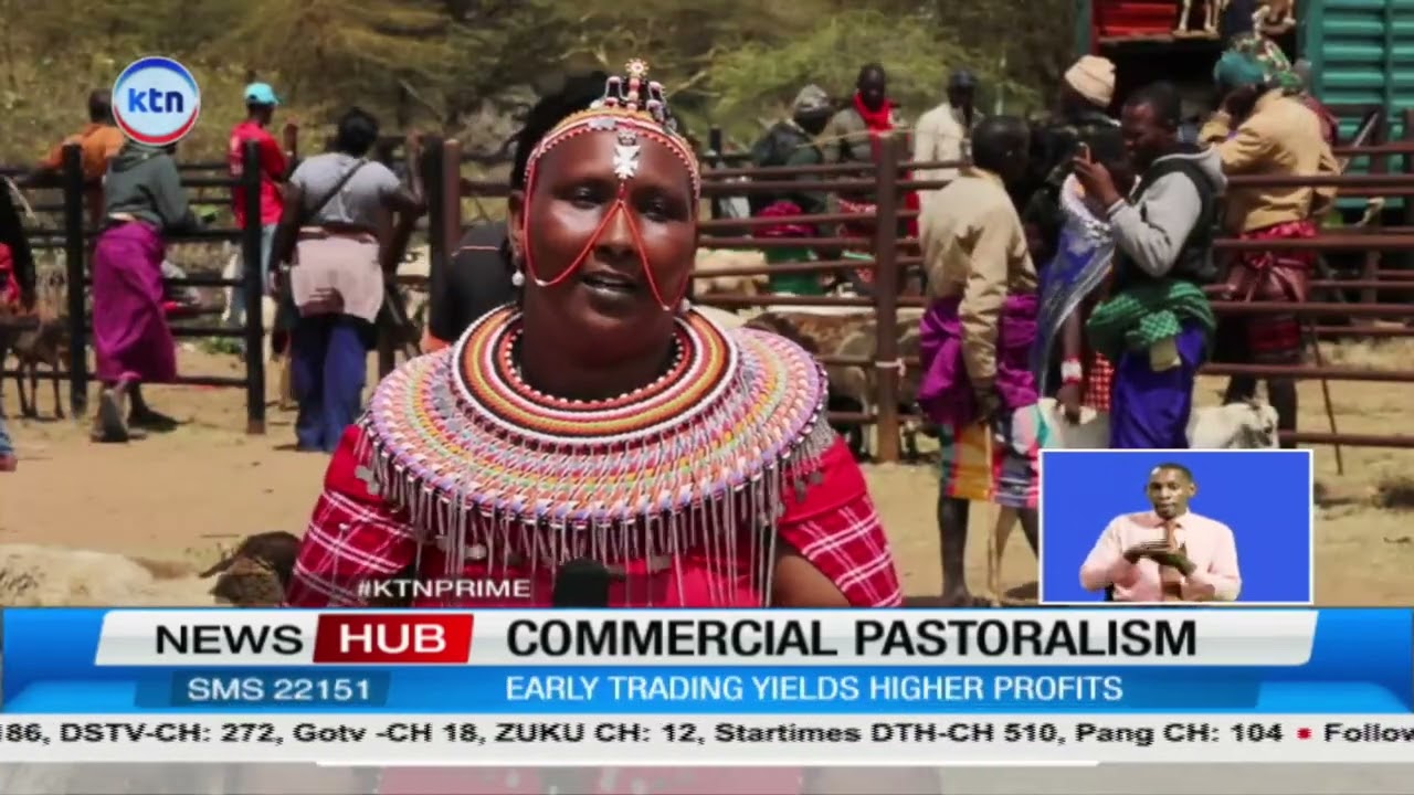 Pastoralist women break barriers in Kenya’s livestock trade