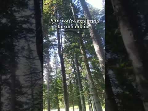 come explore the nature with me ✨⛰️ | mini VLOG |