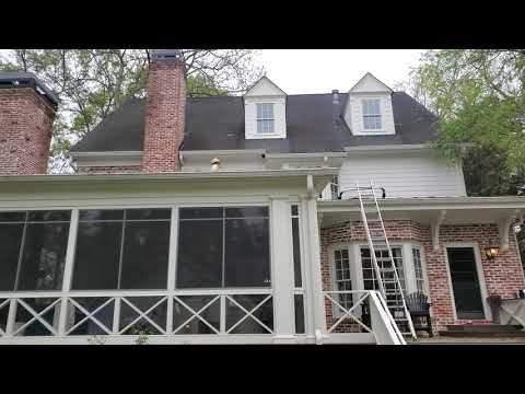 Hornet's Nest Removal - YouTube