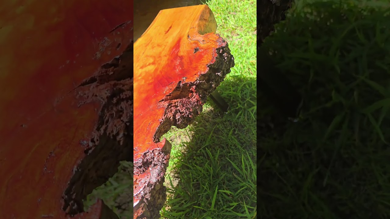 Dark rich cherry burl bench. Fun woodworking projects.  