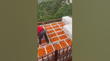 Harvesting on Cliffs: The Drone Farming Revolution