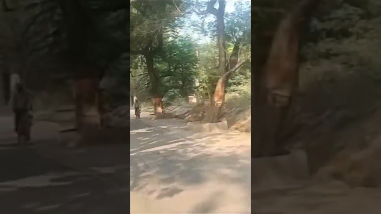 coal india # coal india dhanbad