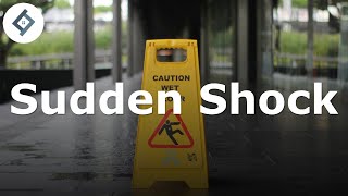 Sudden Shock | Law of Tort
