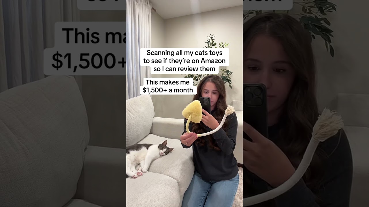 Discover how to earn extra income making video reviews from home