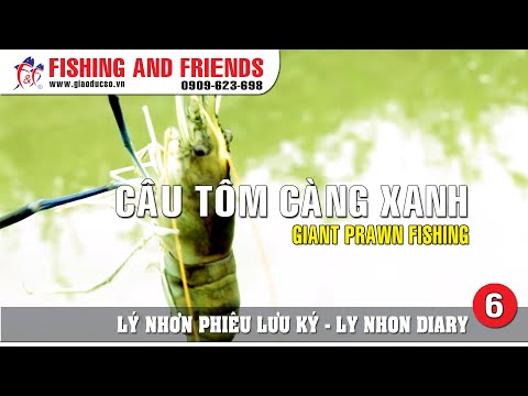 Video [Câu cá] Lý Nhơn phiêu lưu ký phần 6 - Câu tôm càng... - youtube