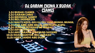 Dj Garam China X Budak Ciamis Remix Ldanung  Bass Terbaruu