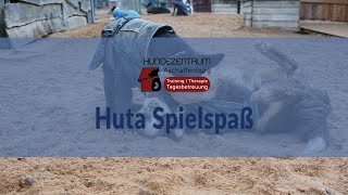 Spielspaß in der Hundetagesstätte