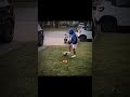 рџ Ј Messi Football Edit Goat Memes Funny Heartrend Shorts Vaiflopar Capcut Song Fpy рџ Ј Messi Football Edit Goat Memes Funny Heartrend Shorts Vaiflopar Capcut Song Fpy