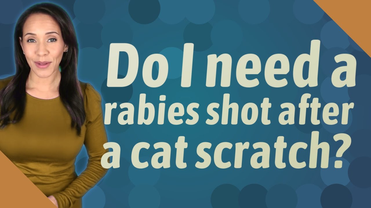 Can Cats Get Rabies Shots Twice?