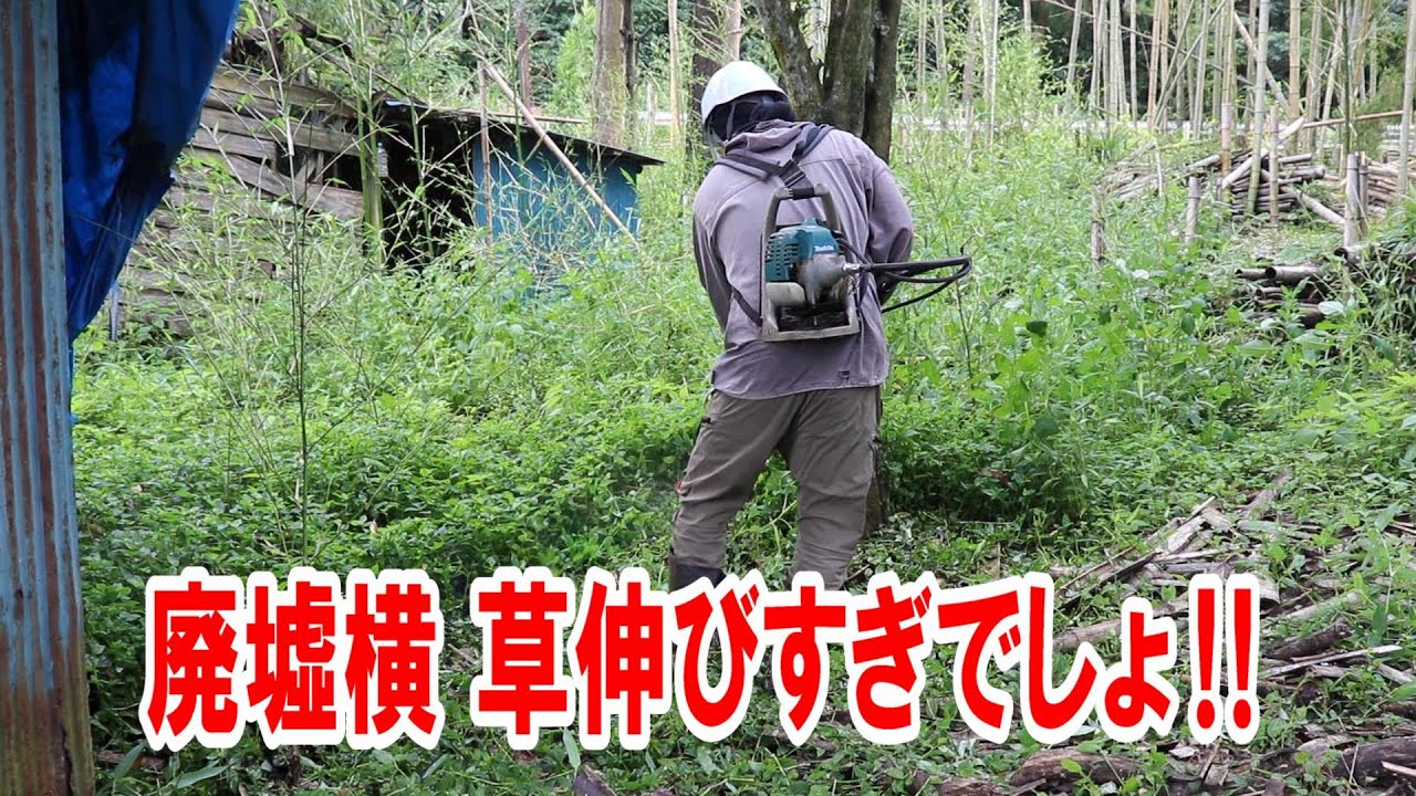 レトロ　越前 手打ち 甚之助　下刈り鎌　未使用新品 営林署